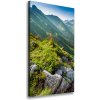 Vertikálny foto obraz na plátne do obývačky Hory letom 50x100 cm