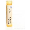 Arnica Montana gra.1 x 4 g 15CH