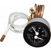 VAILLANT termomanometer 0-4bar/0-120°C