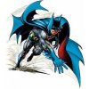 Batman by Neal Adams Book One