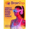 BrainTap(R) Technical Overview - The Power of Light, Sound and Vibration (Francisco J. Cidral-Filho,Michael J. Porter)(Brožovaná)