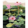 Zuty – Maľovanie Podľa Čísel – Tri Ružové Lekná Na Jazere, 80 × 100 cm, Plátno + Rám 8596530107958