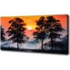 Foto obraz na plátne Západ slnka les 100x50 cm