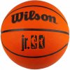Wilson JR NBA Drv Fam Logo