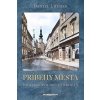 Príbehy mesta Bratislava 20. storočia - Luther Daniel