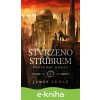 E-kniha Stvrzeno stříbrem - James Logan