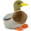 Teddies Káčer kačice divoké plyš 18cm plnená guličkami
