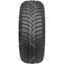 Taurus 601 Winter 165/70 R14 81T