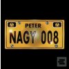 Peter Nagy: 008 LP (Peter Nagy)