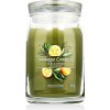 Yankee Candle vonná sviečka Praline & Birch 567 g Sage & Citrus