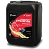 Petronas FPT Engine Oil 5W-30 20L