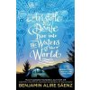 Aristotle and Dante Dive Into the Waters - Benjamin Alire Saenz