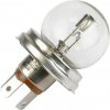 Žiarovka asymetrická 12V 45/40W P45t-41 R2 | 97-7007; 1385870; 1426618M1; 57M6844; 7703097175; 961866M1; MT583700; STAS7081; TX50965; TZ583700; VLC0410 | AGROAD