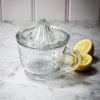 Garden Trading Ručný odšťavovač na citrusy Glass 600 ml
