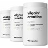Vilgain Creatine 540 kapsúl