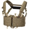 DIRECT ACTION Taktická vesta Tempest cordura - adaptive green (CR-TMPT-CD5-AGR)