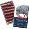 Derwent Suchý pastel v ceruzke 36 ks 24ks, 12 ks
