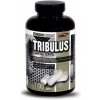 Tribulus 90% Large Caps 100 kapsúl - Vision Nutrition