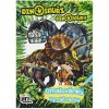 Omaľovánky A5 Dinosaury 2