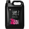 Auto Finesse Spritz Interior Detail Spray 5 l
