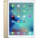 Apple iPad Pro Wi-Fi 32GB ML0H2FD/A