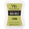 WoodWick vonný vosk do aróma lampy Fern Papraď 22,7 g