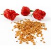 Carolina Reaper red semienka 10 ks