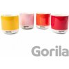 Pantone Termohrnčeky teplé farby 4 x 220 ml