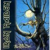 Iron Maiden: Fear Of The Dark - Iron Maiden