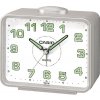 CASIO TQ-218-8EF