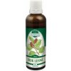 Naděje Buk lesný - tinktúra z púčikov P6 Objem: 50 ml