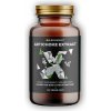BrainMax Artichoke Extract 500mg 100 rastlinných kapsúl