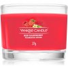 Yankee Candle Red Raspberry votívna sviečka glass 37 g