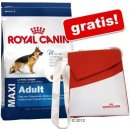 Krmivo pre psa Royal Canin Medium Ageing 15 kg