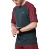 Dynafit Alpine Pro S/S Tee