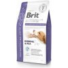 Brit VD Dog GF Gastrointestinal-Low fat 2kg