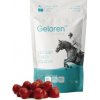 Geloren HA višňový – kĺbová výživa vo forme želé 450 g (60 ks) višeň