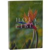 NRSV CATHOLIC EDITION BIBLE BIRD OF PARA (CATHOLIC BIBLE)(Brožovaná)
