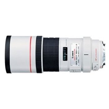 Canon 300mm f/4L IS USM