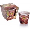Bartek Candles Wellness & Beauty Argan oil 115 g