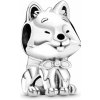 Pandora 799030C01
