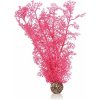biOrb Plastová rastlina - Sea Fan ružová 29 cm