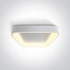 Kuchynské svietidlo ONE LIGHT stropné svietidlo 62142NA/W/W