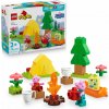 LEGO DUPLO Prasátko Peppa 10452 Táboření 5702017816654 (lego10452)