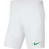 Nike Y NK DRY PARK III SHORT NB K