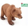 Atlas B - Medvěd hnědý 10 cm