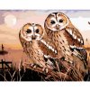 Diamondi Diamantové maľovanie - SOVY - PUŠTÍK OBYČAJNÝ (HOWARD ROBINSON) Rámovanie: vypnuté plátno na rám, Rozmer: 40x50 cm