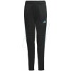 Tepláky adidas Tiro 23 Club Training Jr IC1588
