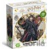 DODO Harry Potter Mladý kouzelník 250 dielov