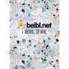 Beibl.net - I Bobl Ifanc (Welsh Youth Bible)